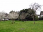 Images for Abbots Park, St. Albans