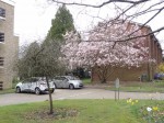 Images for Abbots Park, St. Albans
